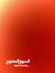  3 بيت كلشش نضيف مصار سنه من البناء