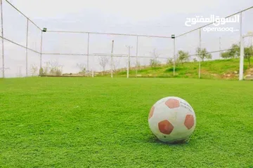  8 مزرعة للإجار