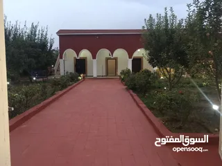  19 134-Hectare Farm for Sale in Morocco - مزرعة محفظة للبيع بمساحة 134 هكتار في منطقة ورزازات، المغرب