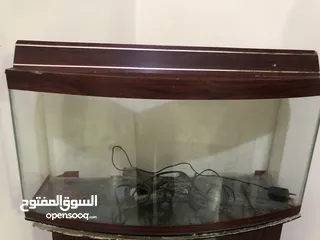  1 حوض سمك مع قاعدة مرتفعة وارفف زجاج