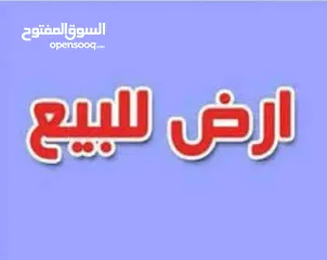  3 قطعة ارض في النوفليين بالقرب من حلويات الملكة مساحة 450 متر للبيع