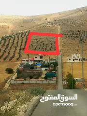  1 أرض للبيع بير ألسعودي