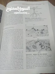  17 كتاب بعنوان biology