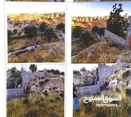  5 إعلان بيع أرض في منطقة وادي المسلم / الكركفة - بيت لحم