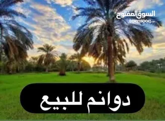  1 بغداد المكاسب منطقة المراسمة قرب قصر التله