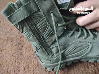  8 موجودات اربد حكما  كلهم وكاله