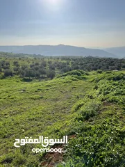  2 ارض للبيع جرش عنيبه منطقة شاليهات مساحة الارض 3500متر بقوشان مستقل اطلاله مميزه جدا جدا