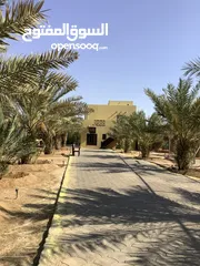  6 مزرعة في البحر الميت/ الشونه الجنوبية / السويمه / حوض جلد مميزة للبيع للجادين فقط