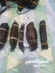  10 فانيلا طازج من مدغشقر Fresh Vanilla Beans From Madagascar