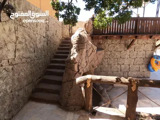  13 شالية رمسيس  Ramesses Chalet وسط اجمل غابات عجلون أطلالة بانورامية