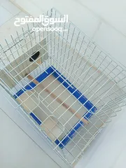  3 قفص ببغاء كبير