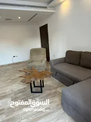  25 شقه مفروشة بالكامل