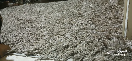  1 سجاد شاكي مستعمل بحاله جيده