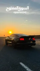  5 Ford Mustang Ecoboost for Urgent sale !!