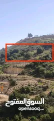  4 ارض للبيع في منطقة واد رحال حوض البيضة الجنوبي الشراء من المالك مباشره