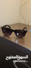  1 Beverly Hills Polo Club sunglasses