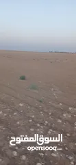  11 قطعه ارض للبيع طريق المطار