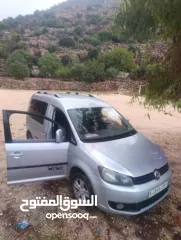  1 كادي 2014 شصي قصير