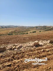  6 للبيع ارض الدجنية يوجد 3 قطعه
