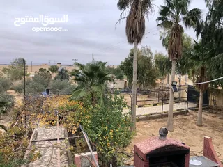  18 مزرعة مميزة و مشجرة للبيع بسعر مغري