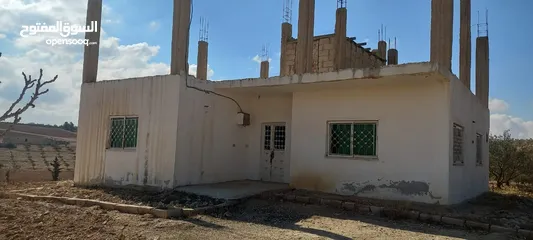  12 مزرعة زيتون للبيع