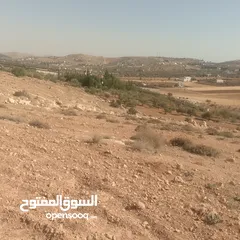  2 قطعة ارض شرق جرش مرويه من بئر ارتوازي مطله ومرتفعه بسعر مغري متوفر أكثر من 50 قطعه في نفس المنطقه