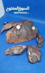  6 Jabal Kamel Hadidi meteorites, Tripoli, Libya, weight: one kilogram and 200 gram