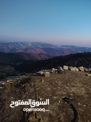  26 ارض للبيع 4300م على القوشان وعلى الواقع 12دونم متواجد بيت مساحة 380 متر طابقين +خزان يتسع50 متر