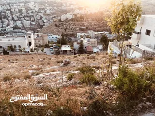  4 ارض اطلالة بانورامية للبيع في السلط