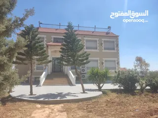  13 مادبا حواره مزرعه للبيع