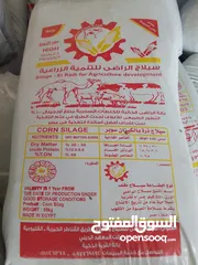  2 سيلاج بلدي وزن 135 كيلو  سيلاج مصري 25% برسيم شوالات