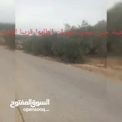  31 القبة الذهبية  اراضي بلعا دير الغصون