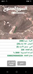  1 ارض في جريبا على الشارع الرئيسي المساحه 4 دنم بسعر مناسب جدا بالقرب من شفا بدران