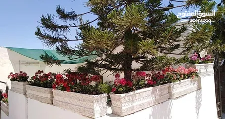  7 قوار حجر صناعي