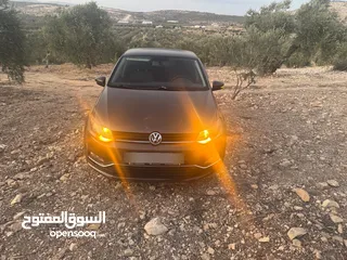  9 بولو جير عادي الحبة النادرة باللون و الجمال و الفحص