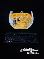  6 اللابتوب الفخم ال Zenbook شاشه OLED حديث