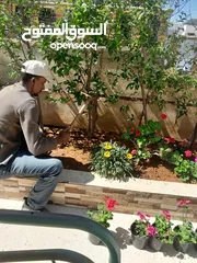  2 قص الاشجار وتنسيق الحدائق ورش الاشجار بأسعار جيدة