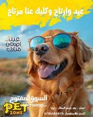  1 .......Dog hotel