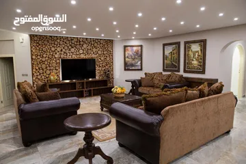  14 شقة مفروشة فاخرة بتصميم عصري اعلان رقم (L100)