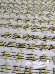  9 معلم حلويات