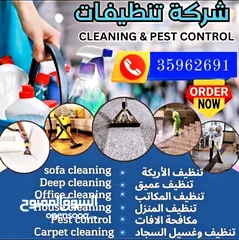  2 cleaning service
