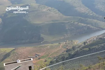  13 شاليه للايجار خصوصيه كامله  جرش - المجدل مطل على سد الملك طلال