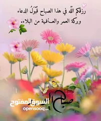  2 مترجم فوري ايطالي عربي