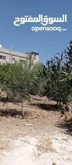  11 بيوت للبيع