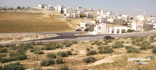  1 شفابدران 3 شوارع مرج الفرس