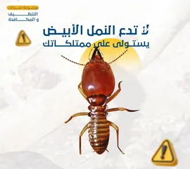  4 مكافحه الحشرات والرمه والصراصير والنمل الابيض والفيران