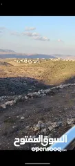  2 بيت. مستقل طابقين. اطلاله. رائعه تشطيب سوبر ديلوكس طابو