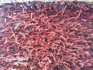  4 قطعتين سجاد شاغي