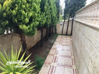  18 فيلا مفروشة للإيجار  ( Property 39526 )