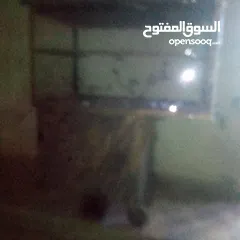  2 عربيه جديده للايجار  الله يرزق الجميع
